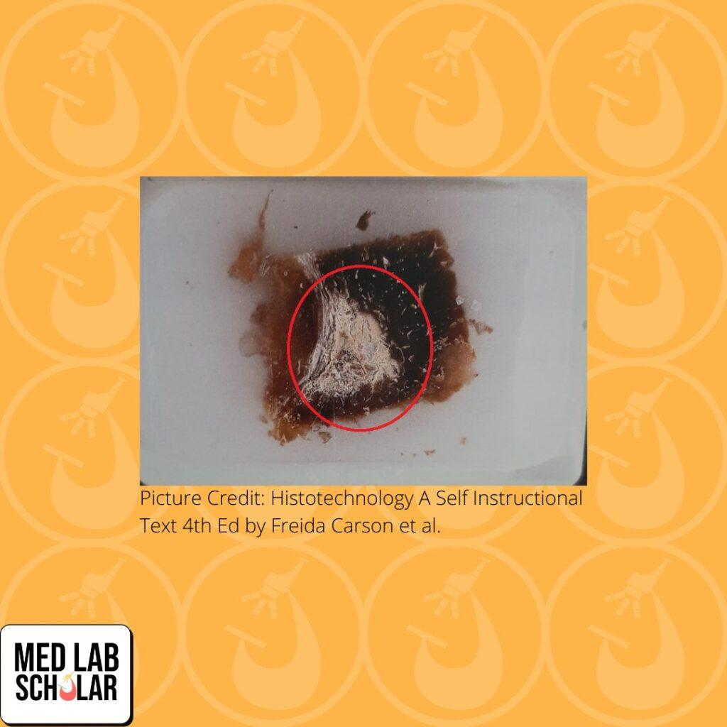 A white soft center in a block after cutting. Picture Credit: Histotechnology A Self instructional